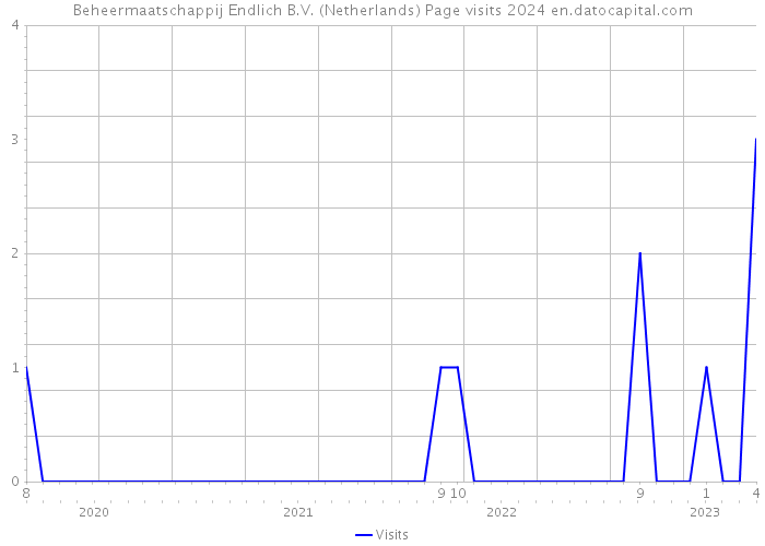Beheermaatschappij Endlich B.V. (Netherlands) Page visits 2024 