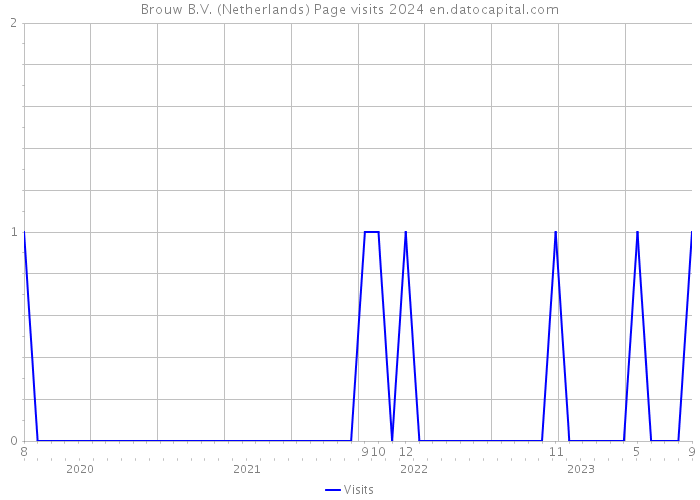 Brouw B.V. (Netherlands) Page visits 2024 