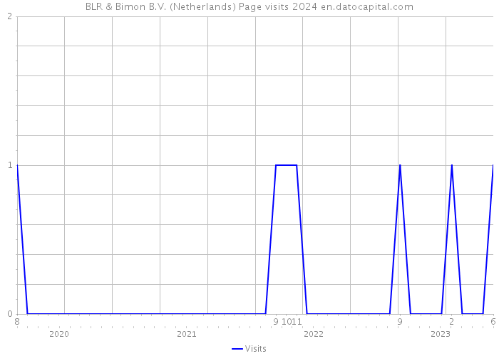 BLR & Bimon B.V. (Netherlands) Page visits 2024 