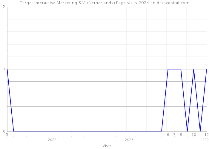 Target Interactive Marketing B.V. (Netherlands) Page visits 2024 