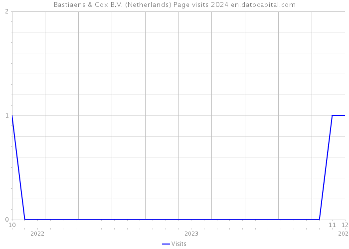 Bastiaens & Cox B.V. (Netherlands) Page visits 2024 