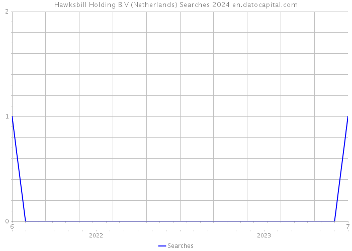 Hawksbill Holding B.V (Netherlands) Searches 2024 
