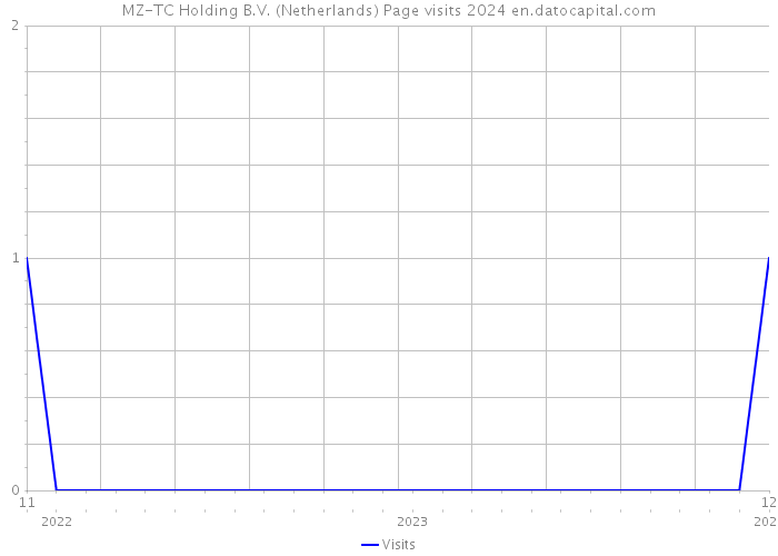 MZ-TC Holding B.V. (Netherlands) Page visits 2024 