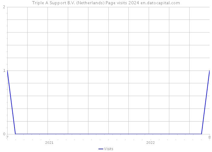 Triple A Support B.V. (Netherlands) Page visits 2024 