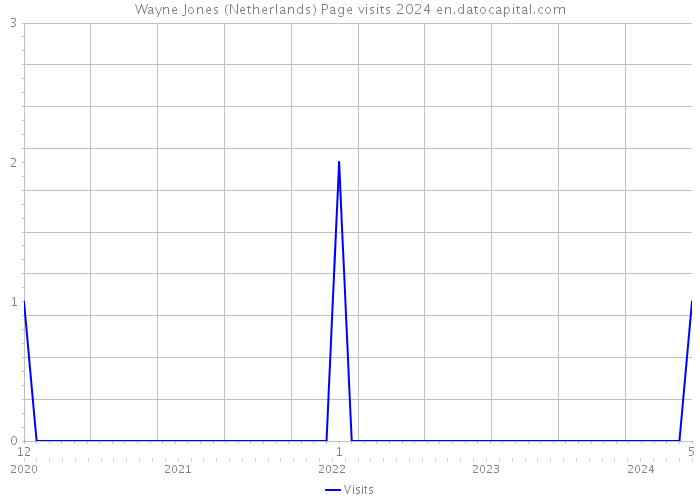 Wayne Jones (Netherlands) Page visits 2024 