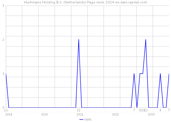 Hurkmans Holding B.V. (Netherlands) Page visits 2024 