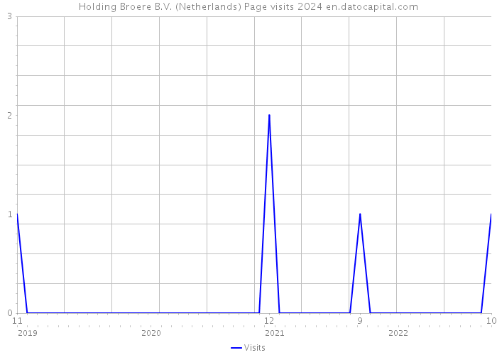 Holding Broere B.V. (Netherlands) Page visits 2024 