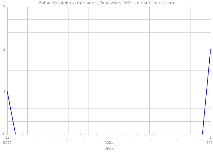 Bahar Bozyigit (Netherlands) Page visits 2024 