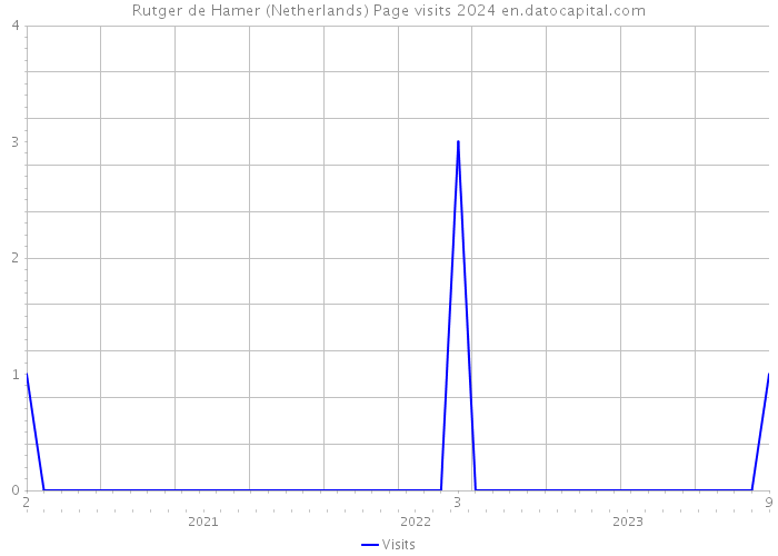 Rutger de Hamer (Netherlands) Page visits 2024 