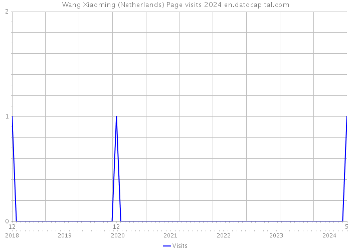 Wang Xiaoming (Netherlands) Page visits 2024 