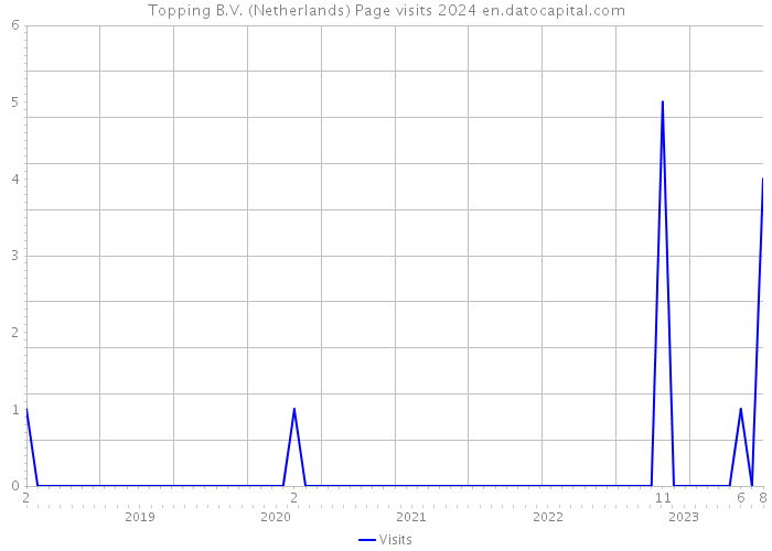 Topping B.V. (Netherlands) Page visits 2024 