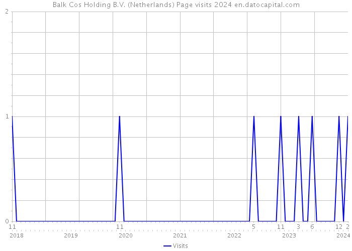 Balk Cos Holding B.V. (Netherlands) Page visits 2024 