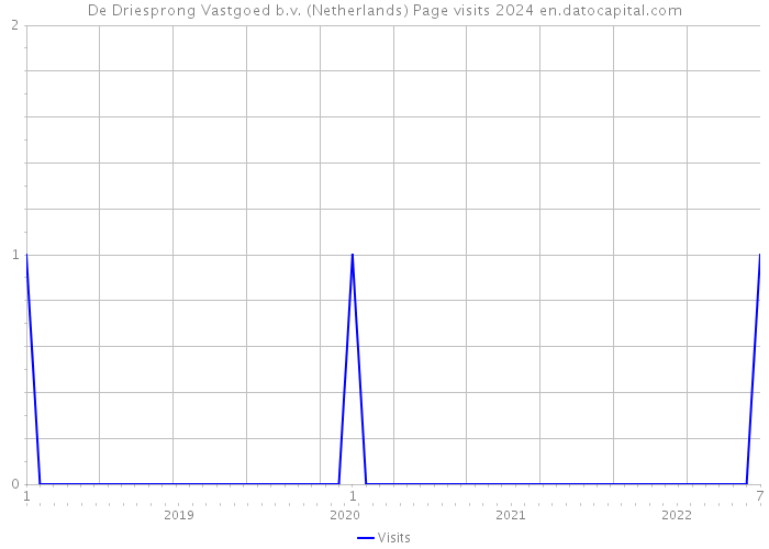 De Driesprong Vastgoed b.v. (Netherlands) Page visits 2024 