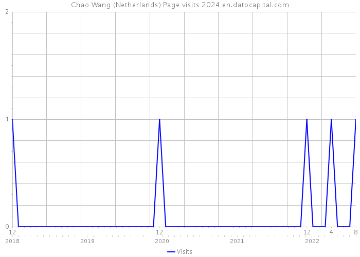 Chao Wang (Netherlands) Page visits 2024 