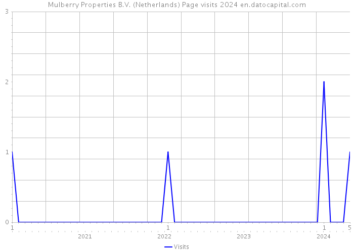 Mulberry Properties B.V. (Netherlands) Page visits 2024 