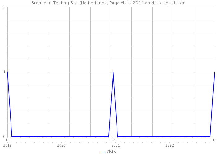Bram den Teuling B.V. (Netherlands) Page visits 2024 