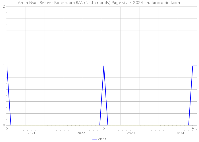 Amin Nyali Beheer Rotterdam B.V. (Netherlands) Page visits 2024 