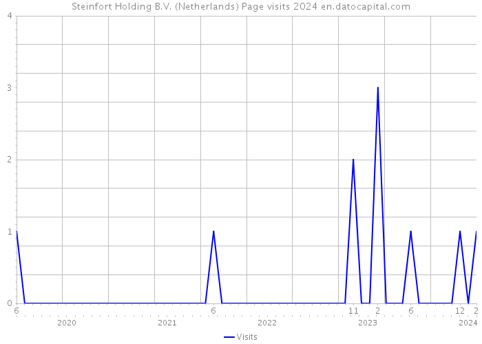 Steinfort Holding B.V. (Netherlands) Page visits 2024 