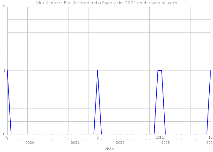 Vitu Kappers B.V. (Netherlands) Page visits 2024 