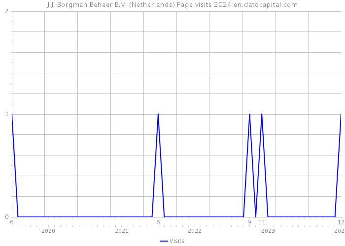 J.J. Borgman Beheer B.V. (Netherlands) Page visits 2024 