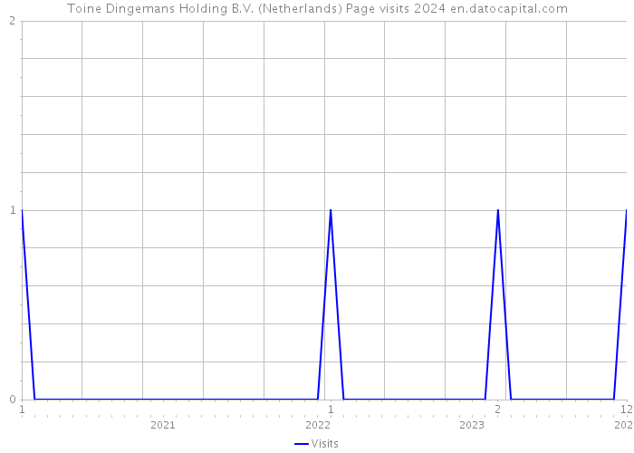 Toine Dingemans Holding B.V. (Netherlands) Page visits 2024 