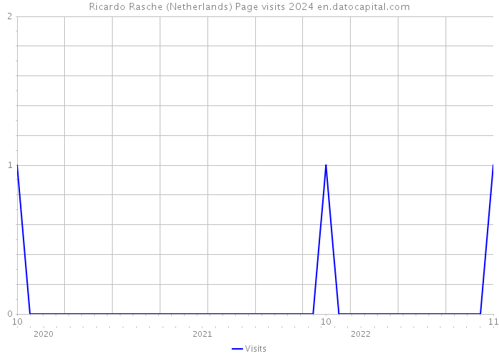Ricardo Rasche (Netherlands) Page visits 2024 