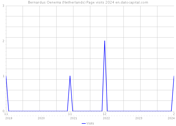 Bernardus Oenema (Netherlands) Page visits 2024 