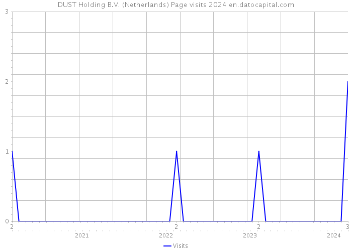 DUST Holding B.V. (Netherlands) Page visits 2024 