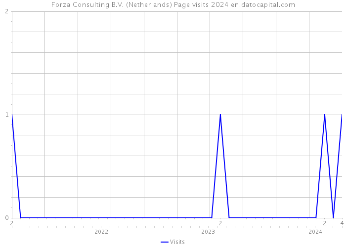 Forza Consulting B.V. (Netherlands) Page visits 2024 