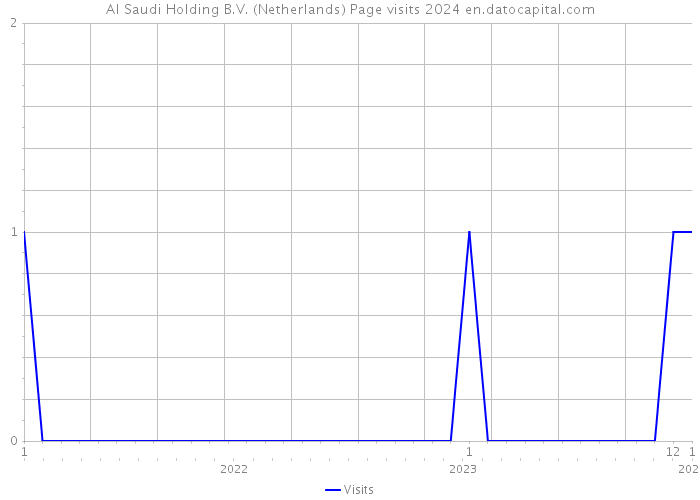 Al Saudi Holding B.V. (Netherlands) Page visits 2024 