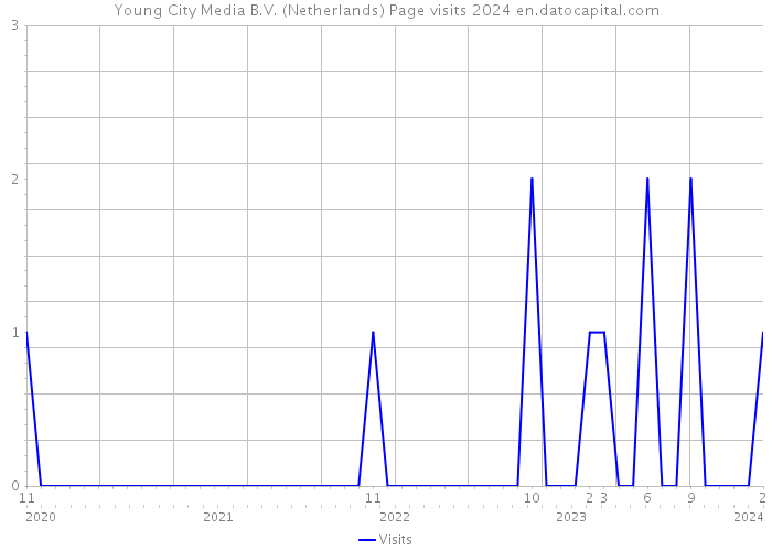 Young City Media B.V. (Netherlands) Page visits 2024 