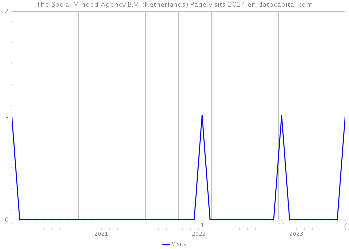 The Social Minded Agency B.V. (Netherlands) Page visits 2024 
