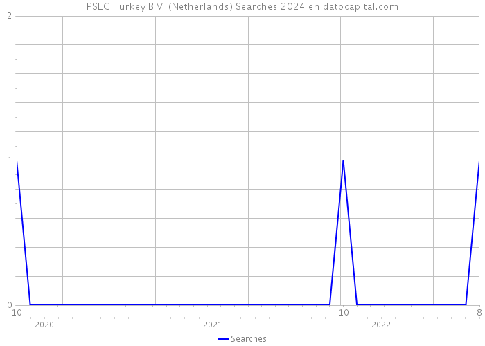 PSEG Turkey B.V. (Netherlands) Searches 2024 