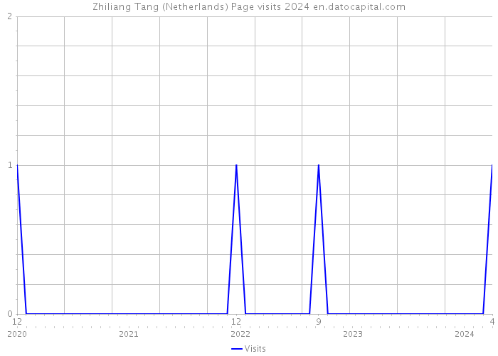 Zhiliang Tang (Netherlands) Page visits 2024 