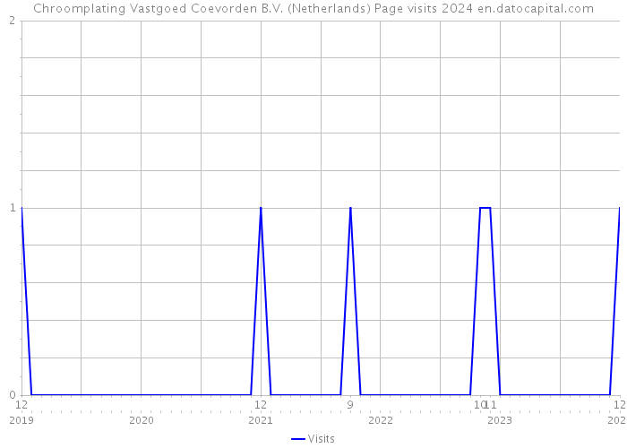 Chroomplating Vastgoed Coevorden B.V. (Netherlands) Page visits 2024 