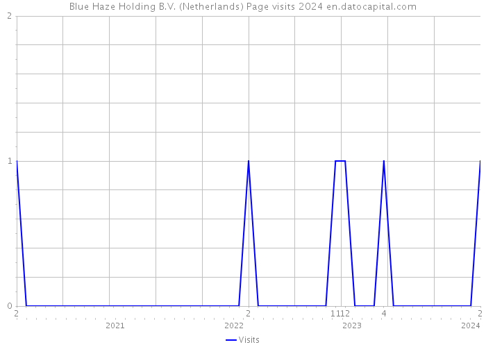 Blue Haze Holding B.V. (Netherlands) Page visits 2024 