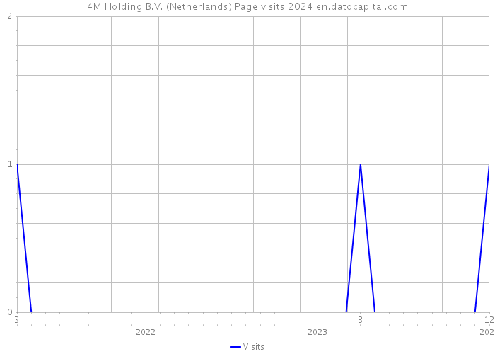 4M Holding B.V. (Netherlands) Page visits 2024 