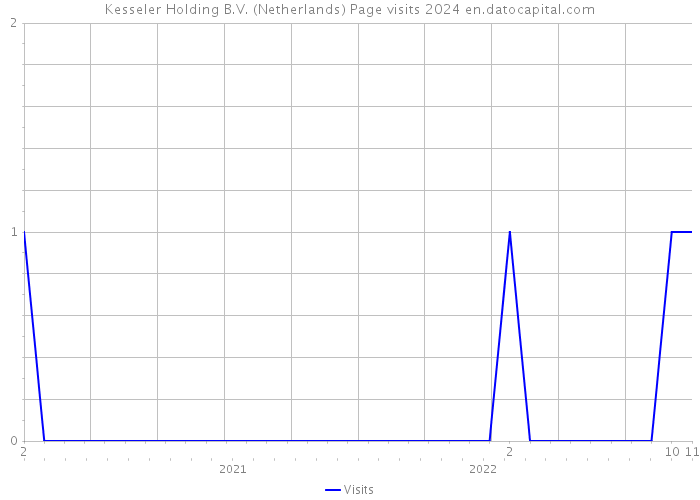 Kesseler Holding B.V. (Netherlands) Page visits 2024 