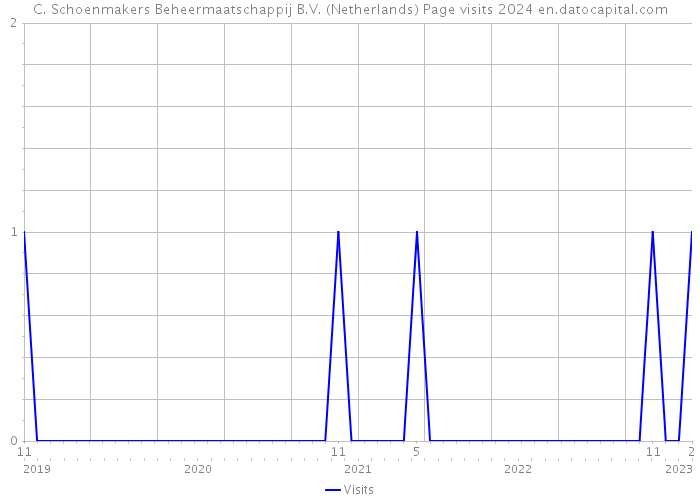 C. Schoenmakers Beheermaatschappij B.V. (Netherlands) Page visits 2024 