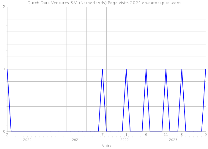 Dutch Data Ventures B.V. (Netherlands) Page visits 2024 
