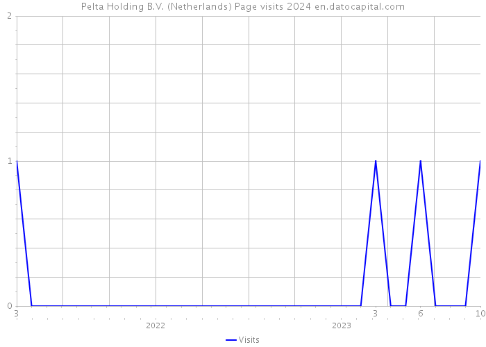 Pelta Holding B.V. (Netherlands) Page visits 2024 