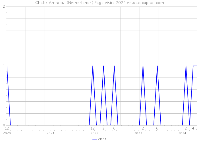 Chafik Amraoui (Netherlands) Page visits 2024 