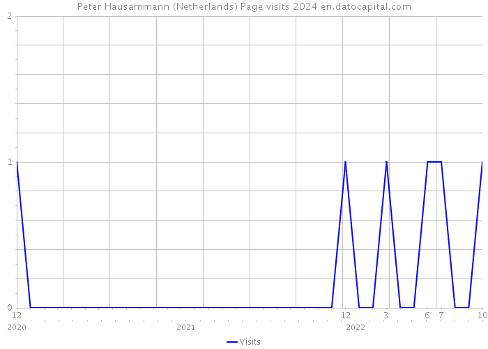 Peter Hausammann (Netherlands) Page visits 2024 
