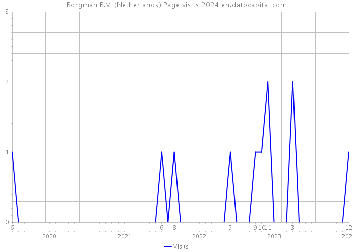 Borgman B.V. (Netherlands) Page visits 2024 
