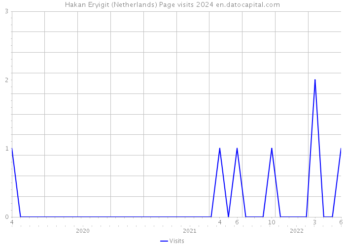 Hakan Eryigit (Netherlands) Page visits 2024 