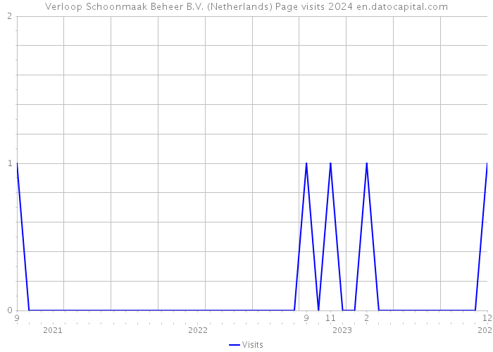 Verloop Schoonmaak Beheer B.V. (Netherlands) Page visits 2024 