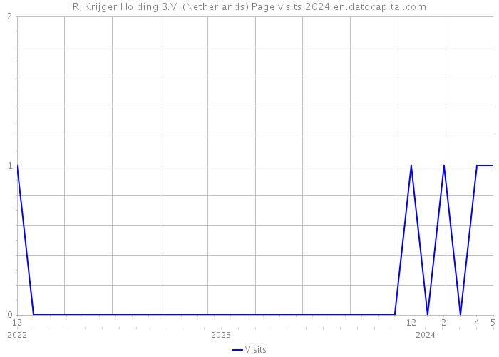RJ Krijger Holding B.V. (Netherlands) Page visits 2024 