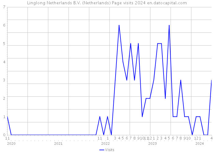 Linglong Netherlands B.V. (Netherlands) Page visits 2024 