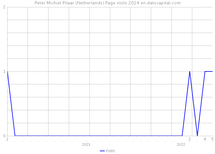 Peter Michiel Pilaar (Netherlands) Page visits 2024 