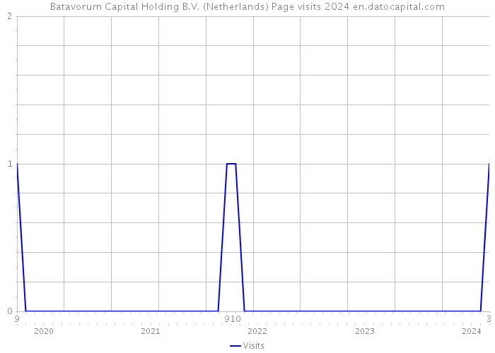 Batavorum Capital Holding B.V. (Netherlands) Page visits 2024 
